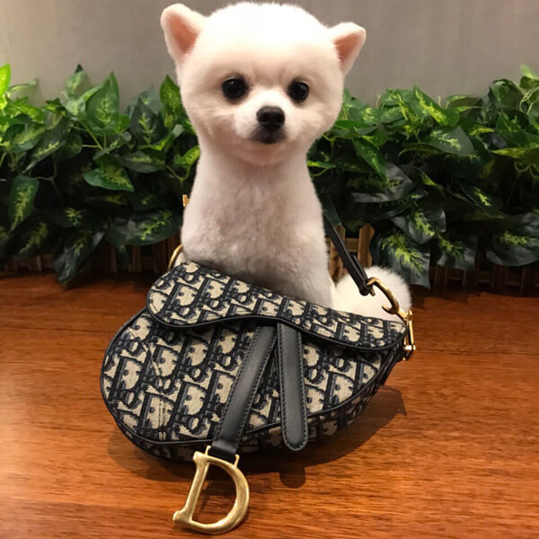 バッグ